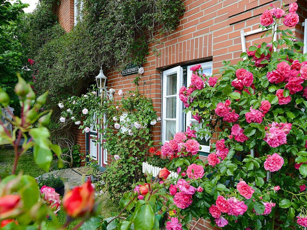 Casa de vacaciones Oevenum Grabación al aire libre 1