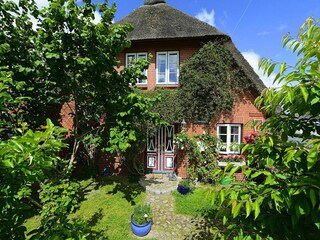 Ferienhaus Oevenum Außenaufnahme 4