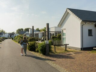 Vakantiepark Ouddorp Omgeving 8