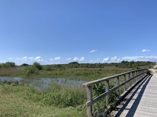 Parc de vacances Ouddorp Environnement 26