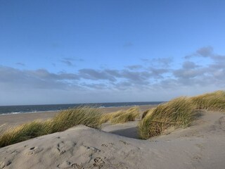 Holiday park Ouddorp Environment 38