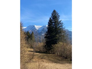 Alpenhut Ramsau im Zillertal Omgeving 20
