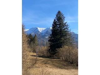 romantische Waldspaziergänge