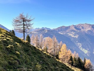 Capanna alpina Ramsau im Zillertal Ambiente 33