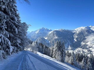 Chalet alpin Ramsau im Zillertal Environnement 39
