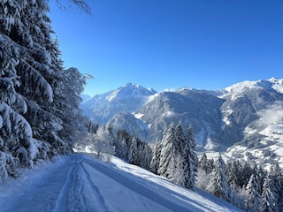 Schneeschuhwanderung