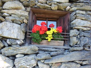 Alpenhut Ramsau im Zillertal Omgeving 26