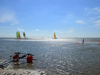 Appartement Wyk auf Föhr  15