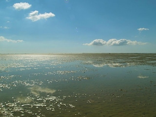 Apartment Wyk auf Föhr  23