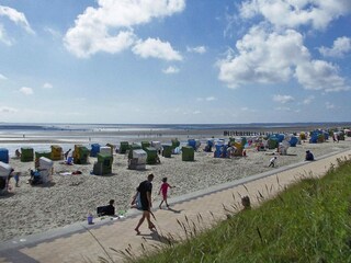 Apartamento Wyk auf Föhr  18