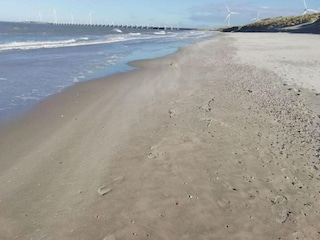 Ferienpark Kamperland Umgebung 26