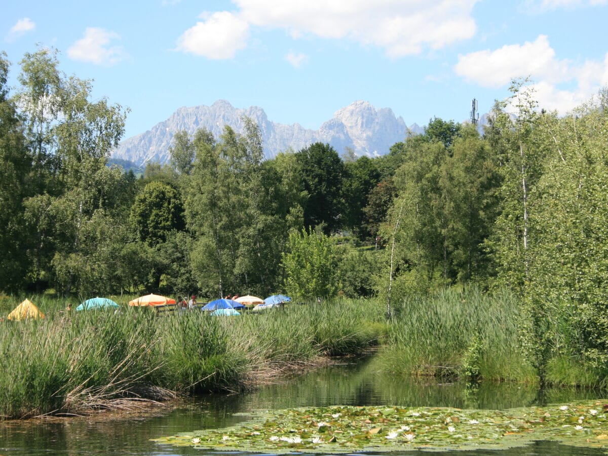 Seerosen im Schwarz See - Bad