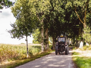 Ferienpark Gasselternijveen Umgebung 12