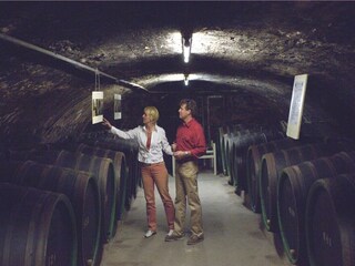 Vakantiepark Cochem Omgeving 13
