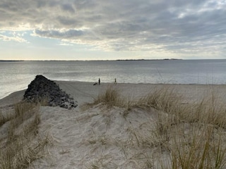 Apartment Wyk auf Föhr Umgebung 14