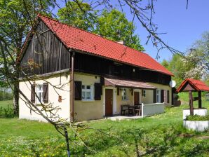 Parque de vacaciones Amplia casa de campo con chimenea, para amantes de la naturaleza, Grabczyn - Grzybowo - image1