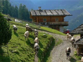 Fattoria St. Pankraz Ambiente 12