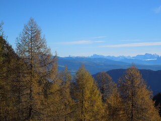 Fattoria St. Pankraz Ambiente 11