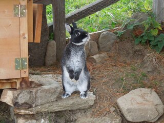 Fattoria St. Pankraz Ambiente 15