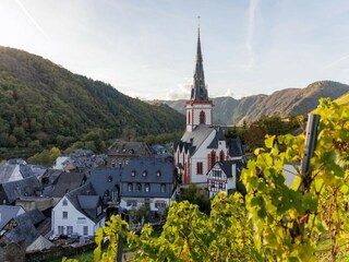 Vakantiepark Cochem Omgeving 18