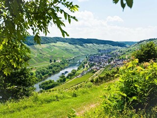 Vakantiepark Cochem Omgeving 22