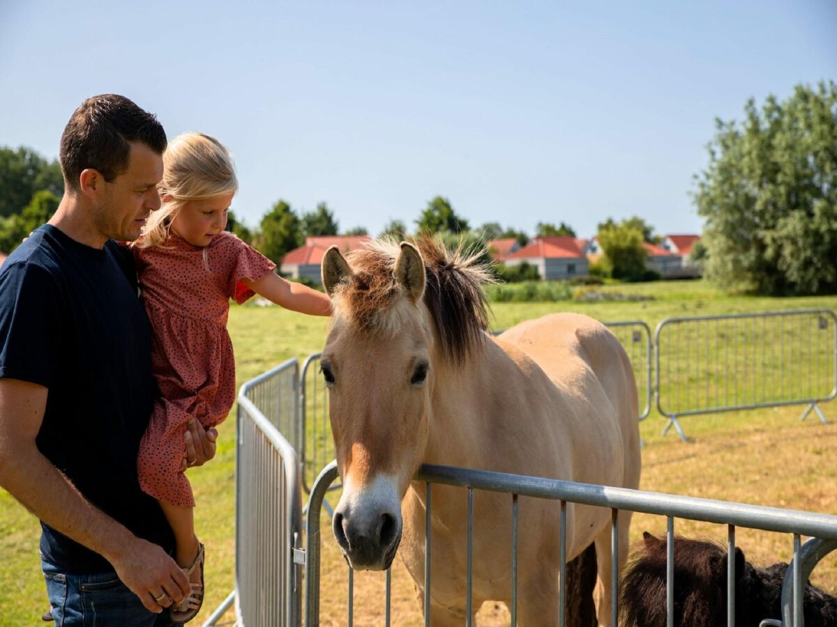 Ferienpark Andijk Umgebung 9