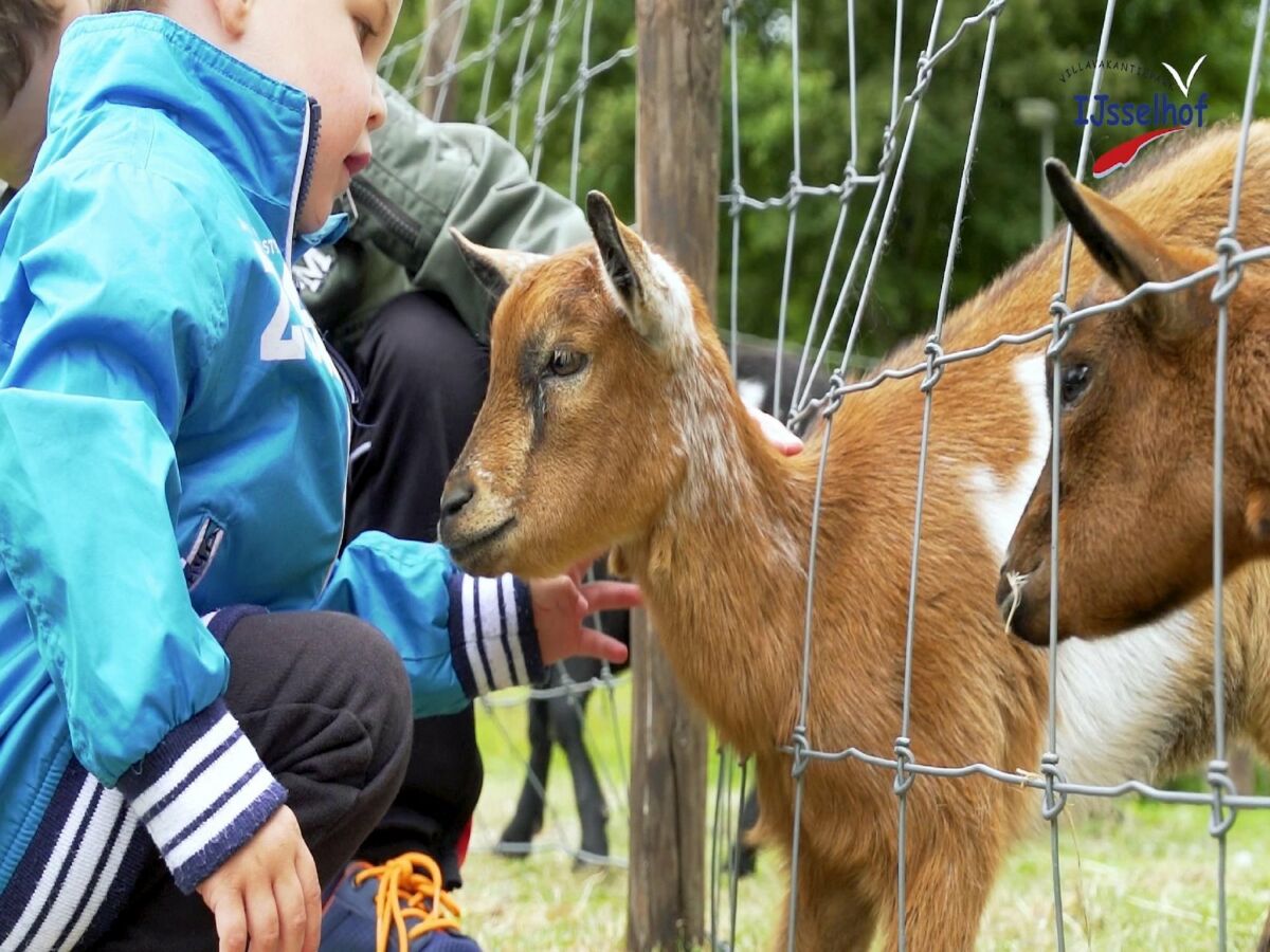 Ferienpark Andijk  23