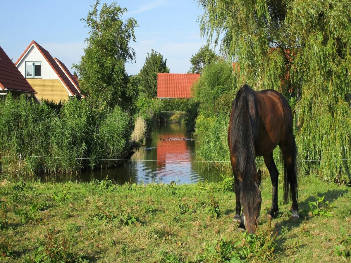 Ferienpark Andijk  32