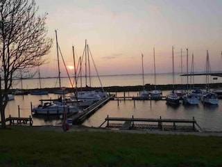 Vakantiepark Andijk Omgeving 11