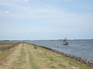 Ferienpark Andijk Umgebung 14