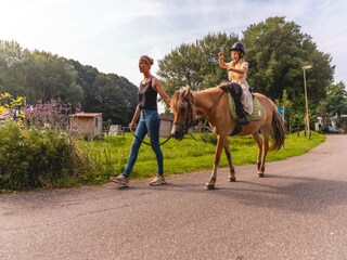 Vakantiepark Andijk  8