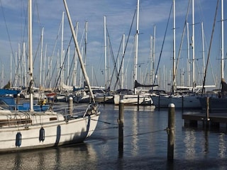 Ferienpark Andijk Umgebung 9