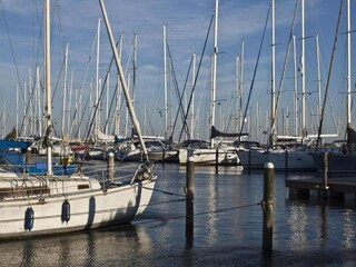 Parc de vacances Andijk Environnement 9