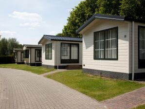 Holiday park Well furnished mobile home with microwave, near water - Gasselternijveen - image1