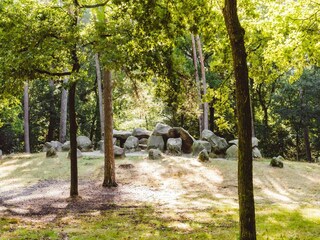 Parc de vacances Gasselternijveen Environnement 21