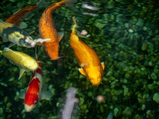 Ferienpark Makarska  34