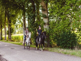 Parco vacanze Gasselternijveen Ambiente 10