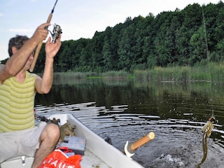 Parque de vacaciones Grzybowo Entorno 28