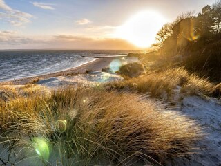 Apartment Wyk auf Föhr Environment 42
