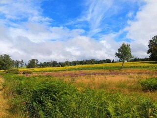 Vakantiepark Ecuras Omgeving 38