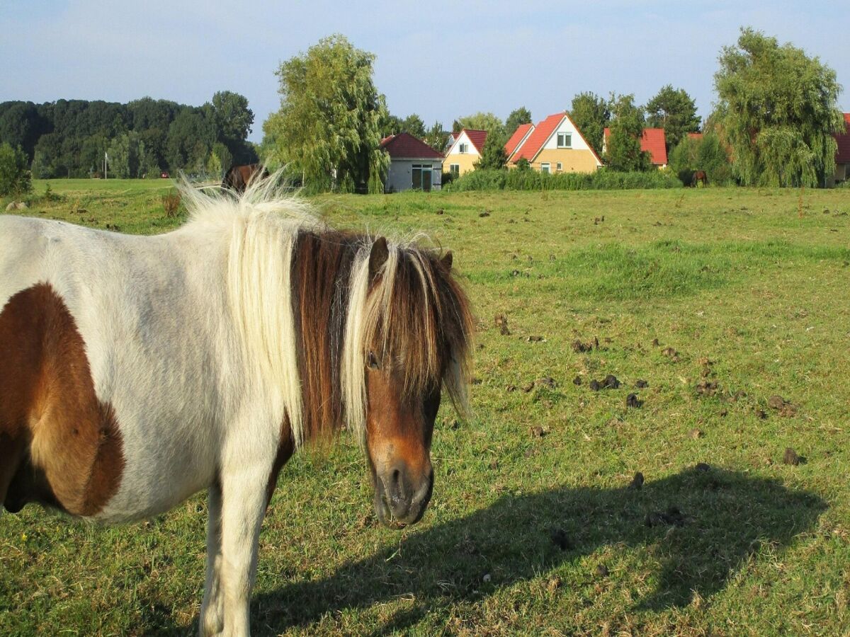 Ferienpark Andijk  31