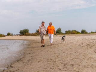 Vakantiepark Andijk Omgeving 6