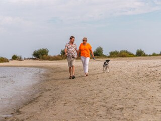 Vakantiepark Andijk Omgeving 8