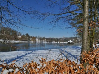 Vakantiepark Vielsalm Omgeving 28