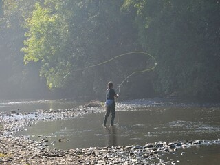 Ferienpark Vielsalm Umgebung 23