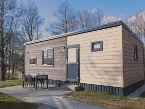 Holiday park Modern chalet with microwave, close to a lake - Gasselternijveen - image1