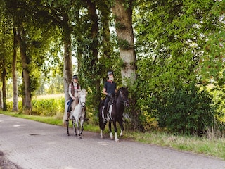 Vakantiepark Gasselternijveen Omgeving 18