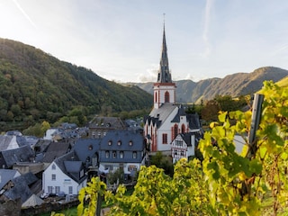 Parc de vacances Cochem Environnement 22
