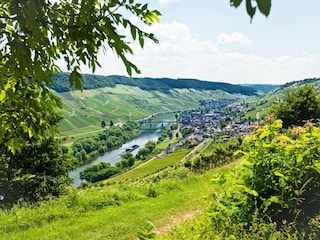Parc de vacances Cochem Environnement 21