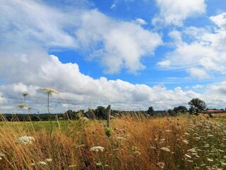 Parc de vacances Ecuras Environnement 36